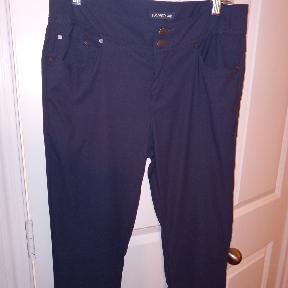 Toad&Co Charcoal Color Pants.